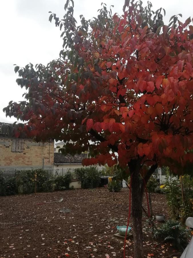 La Nuova Dimora B&B 라킬라 외부 사진